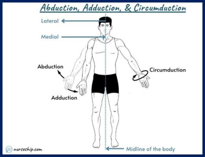 Abduction vs Adduction Anatomy: Understanding the Key Movements in Human Kinetics