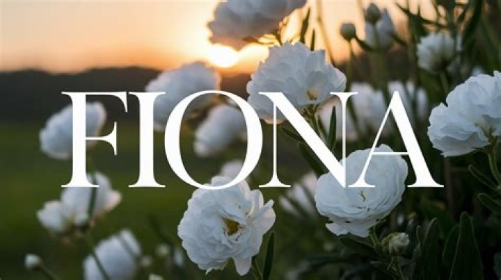 Alexandra: The Timeless Name with a Rich History and Modern Appeal