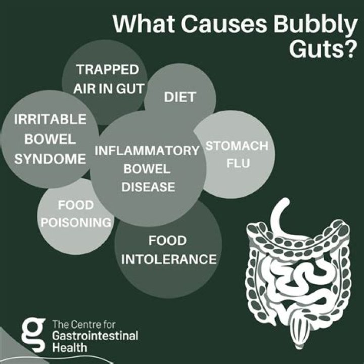 Bubble Guts Poop: Understanding Causes, Symptoms, and Treatments