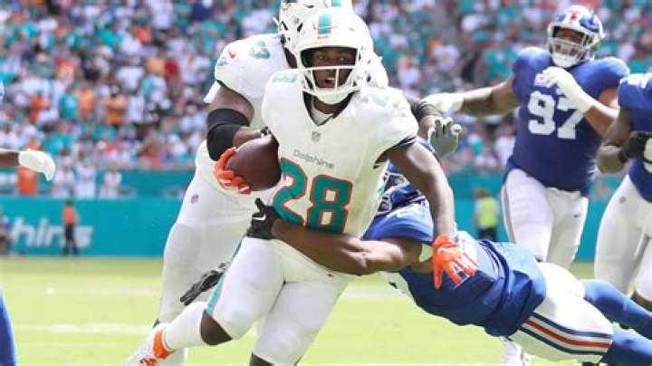 Dolphins Injury: Understanding the Impact on Players and Teams
