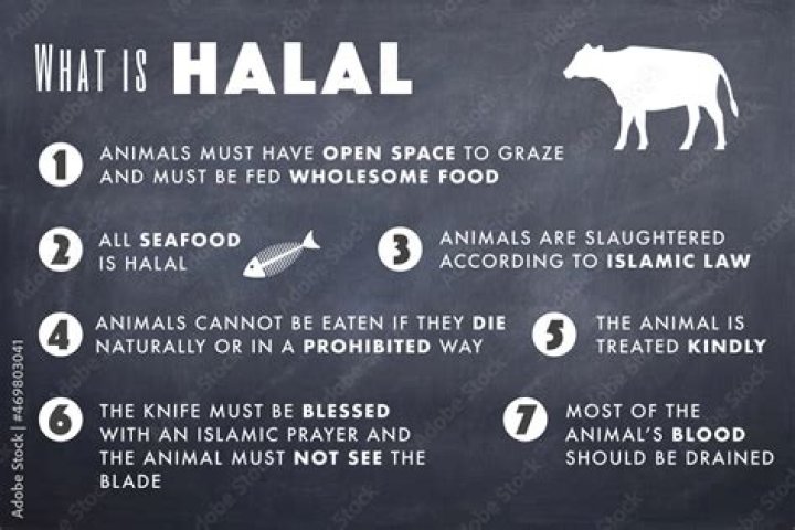 Halal Definition Food: Understanding the Principles and Practices