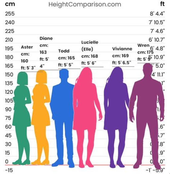 How Tall is Ana Katic: Discovering the Height and More About This Stunning Actress