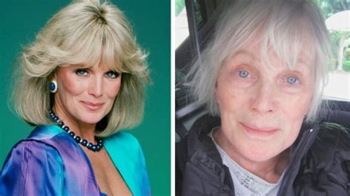 Linda Evans Today: The Iconic Actress's Journey Through Time