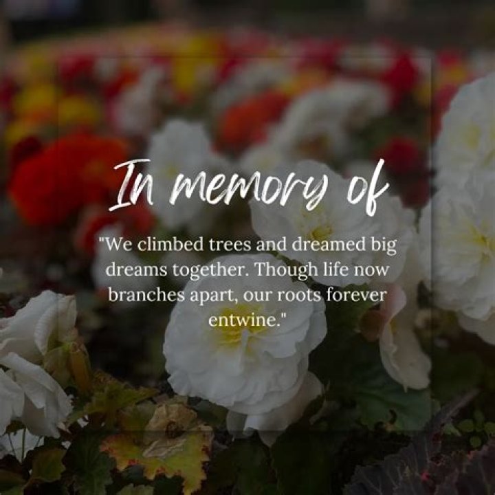 Obituaries in Middletown CT: A Comprehensive Guide to Honoring Lives and Remembering Loved Ones