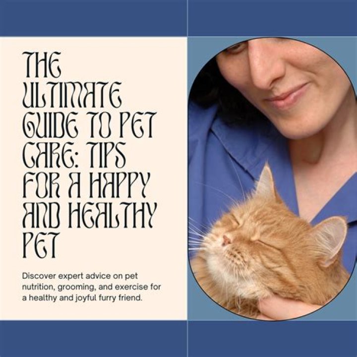 Pet Care: The Ultimate Guide to Keeping Your Pets Healthy and Happy