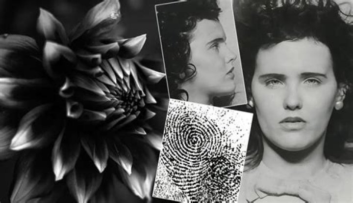 Unveiling the Mystery: Black Dahlia Photos and Their Enduring Legacy