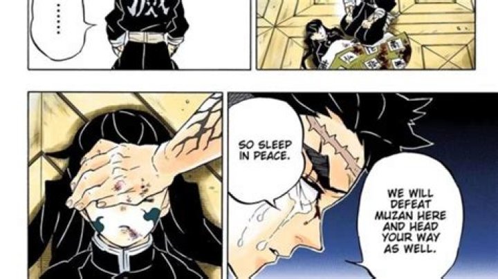Who Kills Muichiro: A Comprehensive Analysis of the Character's Death in Demon Slayer